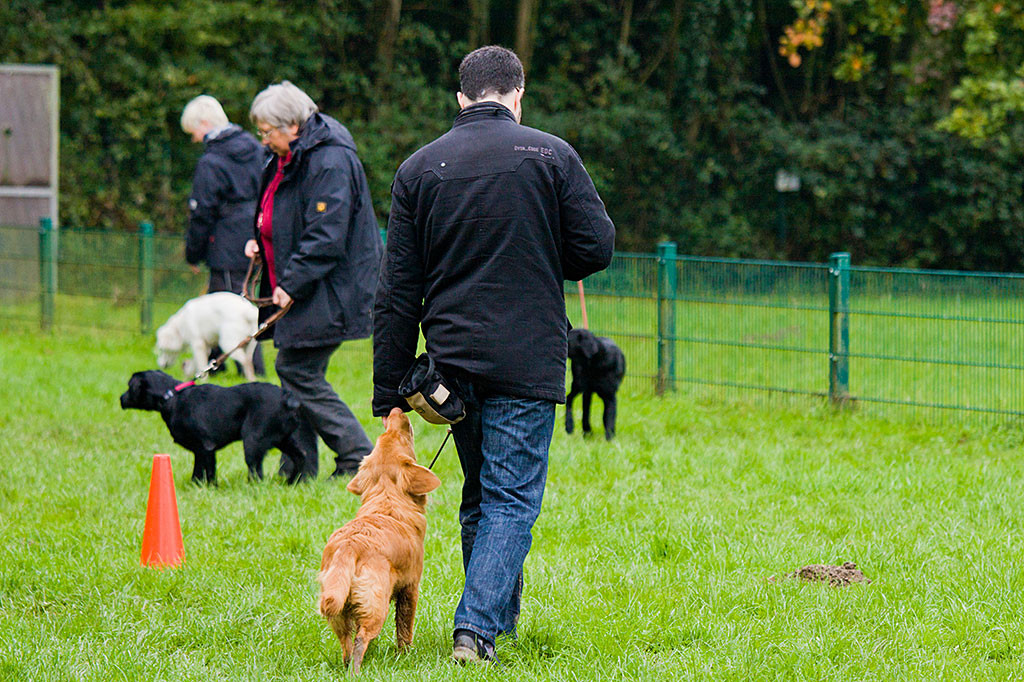 Edison folgt Stephan bei Fuß