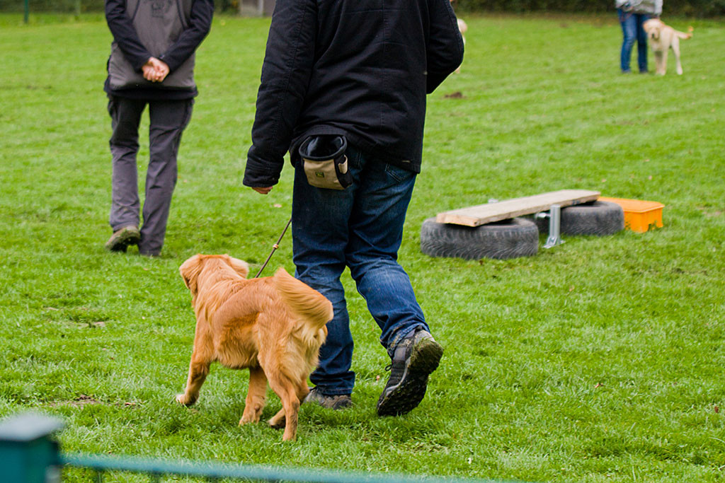 Edison läuft mit Stephan zur nächsten Parcours-Station