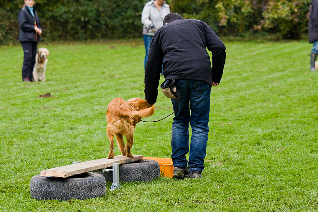 Edison läuft über ein schmales Brett