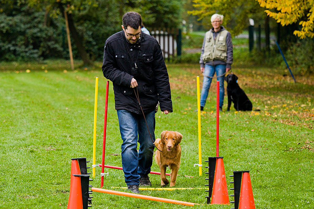 Edison läuft mit Stephan über Hindernisse im Parcours