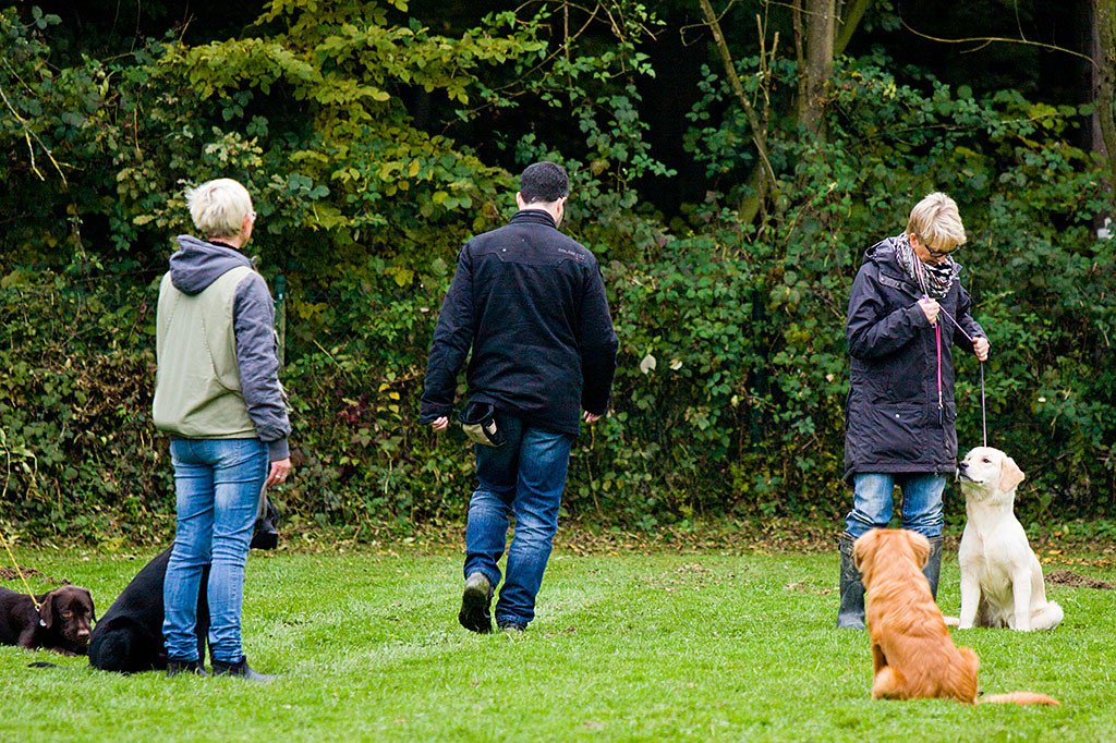 Edison wurde von Stephan abgesetzt, während er um die anderen herum läuft
