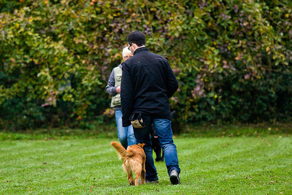 Edison folgt Stephan am Fuß