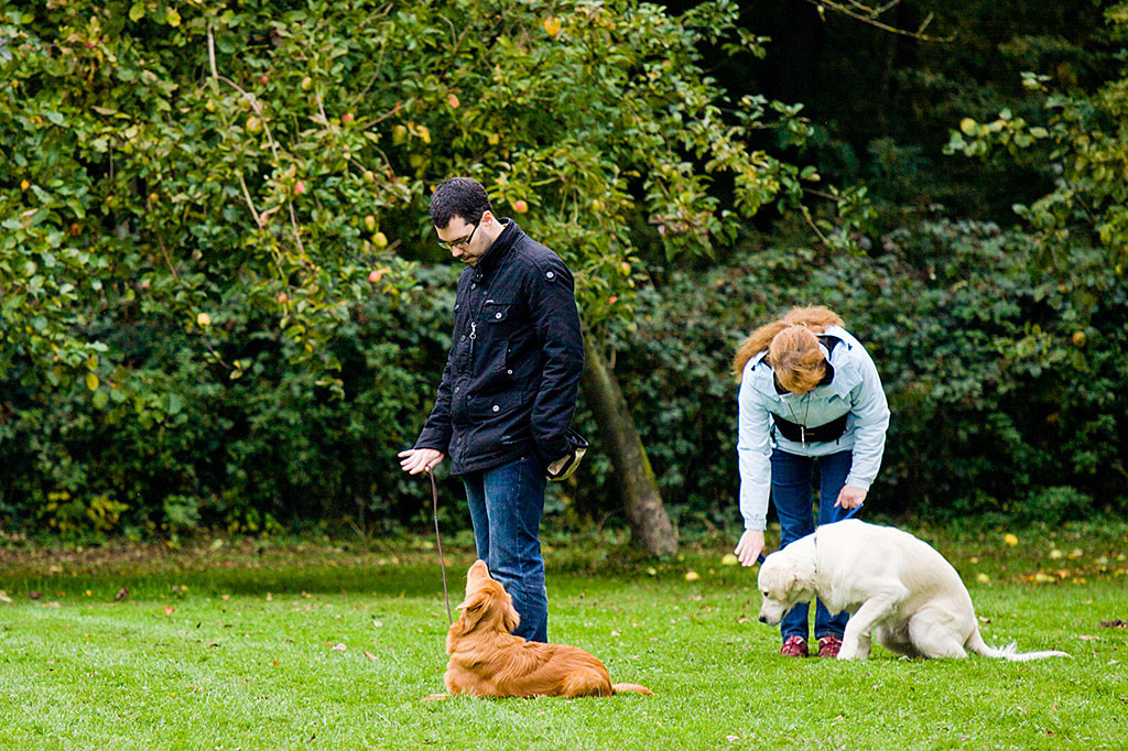 Edison führt das Signal Platz auf Handzeichen aus