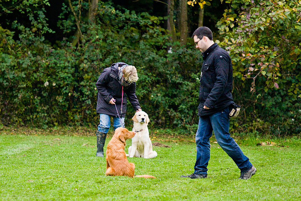 Edison wartet bis Stephan wieder zu ihm zurückkommt