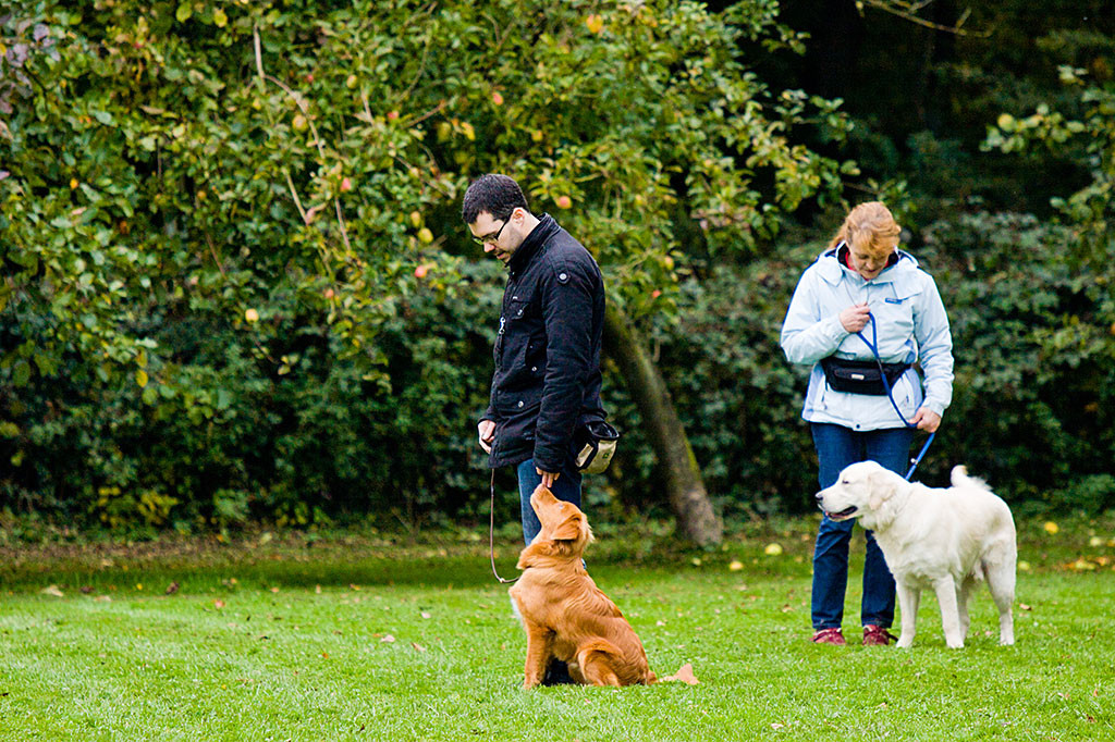 Edison wartet in Grundstellung gespannt auf Stephans nächstes Signal
