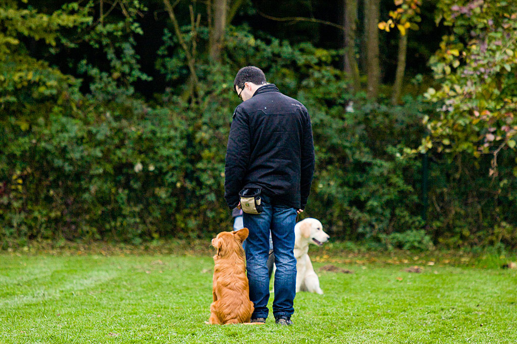 Edison sitzt in der Grundstellung neben Stephan