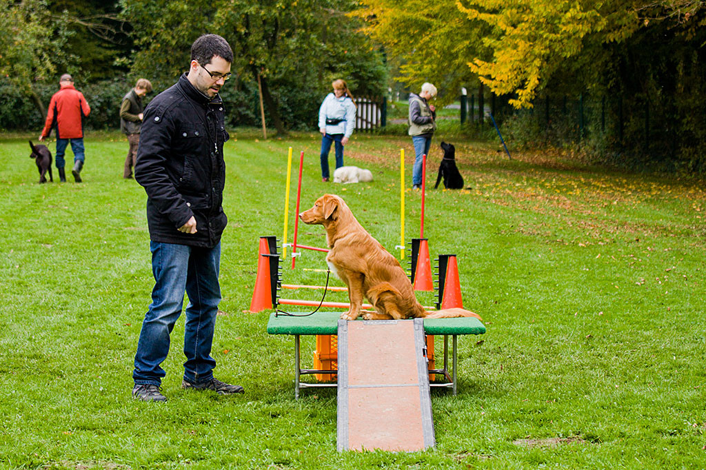 Edison wurde mit Sitz und Bleib von Stephan auf einem Podest abgesetzt