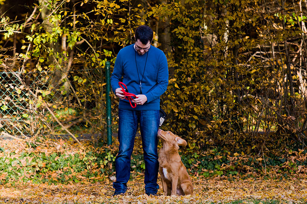 Edison übt den Rückruf Teil 3