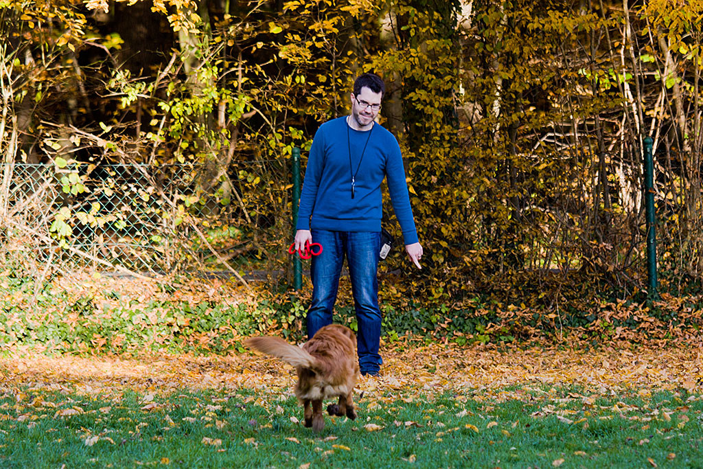 Edison übt den Rückruf Teil 2