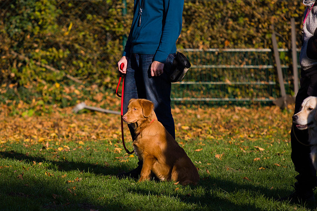 Edison übt das Warten Teil 1