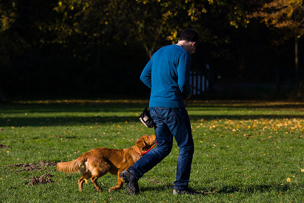 Edison übt mit Stephan die Kehrtwende Teil 3