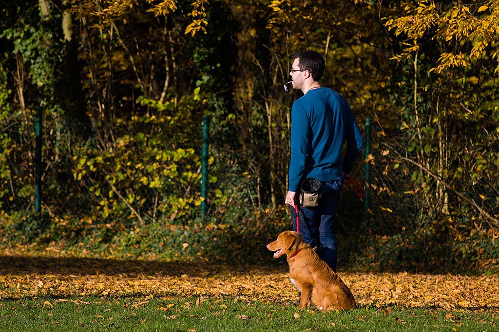 Edison übt mit Stephan das Bleiben Teil 1