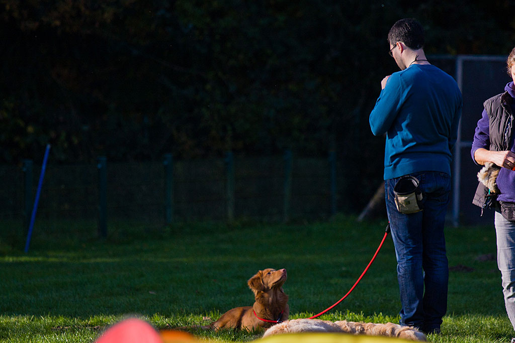 Edison schaut Stephan aus dem Platz ganz aufmerksam an