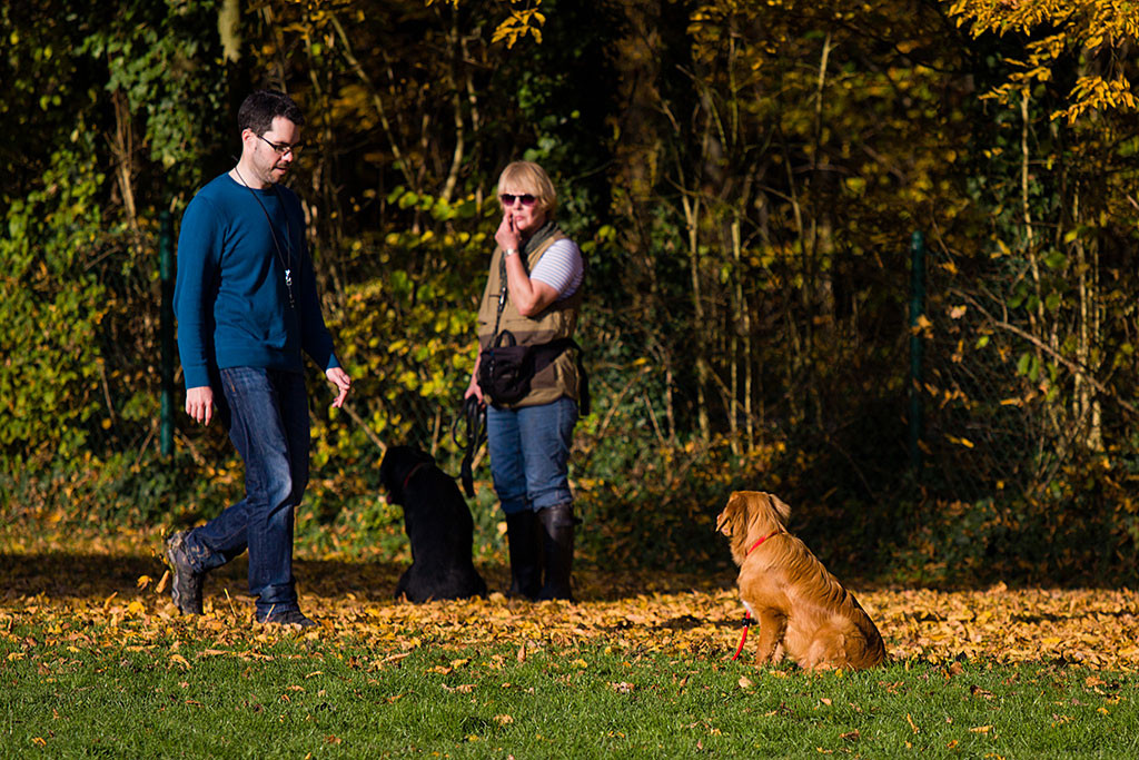 Edison übt mit Stephan das Bleiben Teil 4