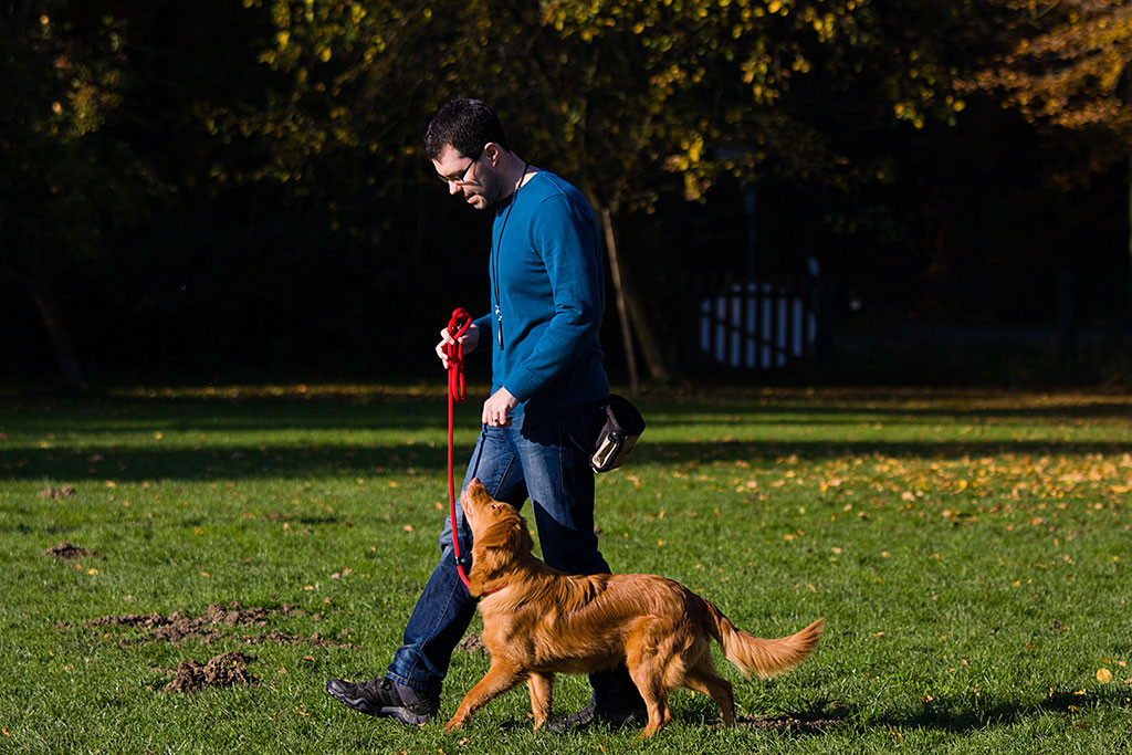 Edison übt mit Stephan die Kehrtwende Teil 1