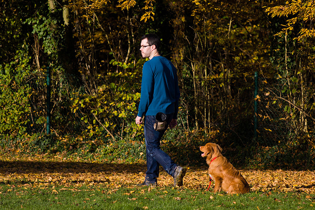 Edison übt mit Stephan das Bleiben Teil 2