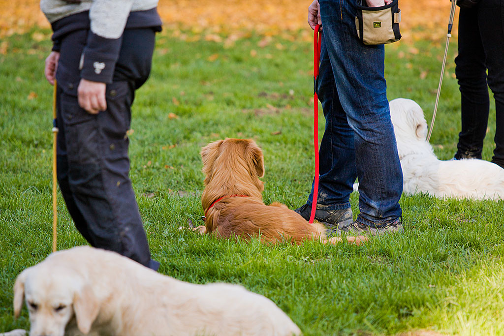 Edison übt das Warten Teil 2