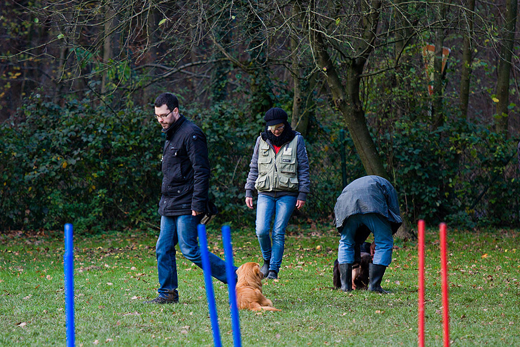 Edison wird im »Platz« von Stephan umkreist – Teil 1