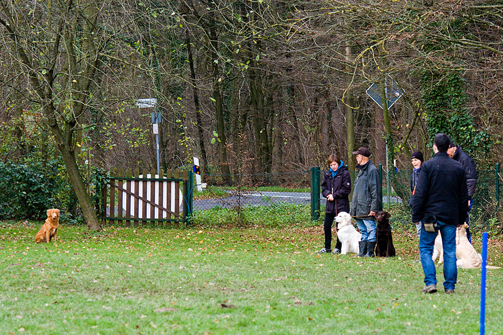 Edison schaut zum 20 Meter entfernten Stephan und wartet auf den Rückruf