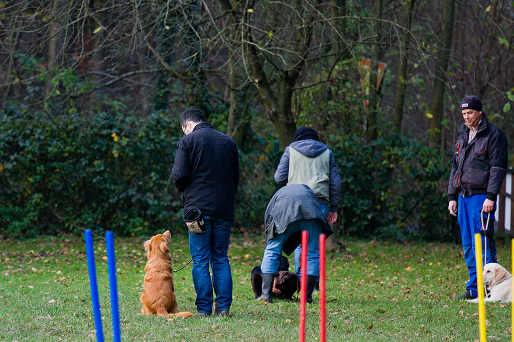 Edison sitzt nach der Übung in Grundstellung neben Stephan