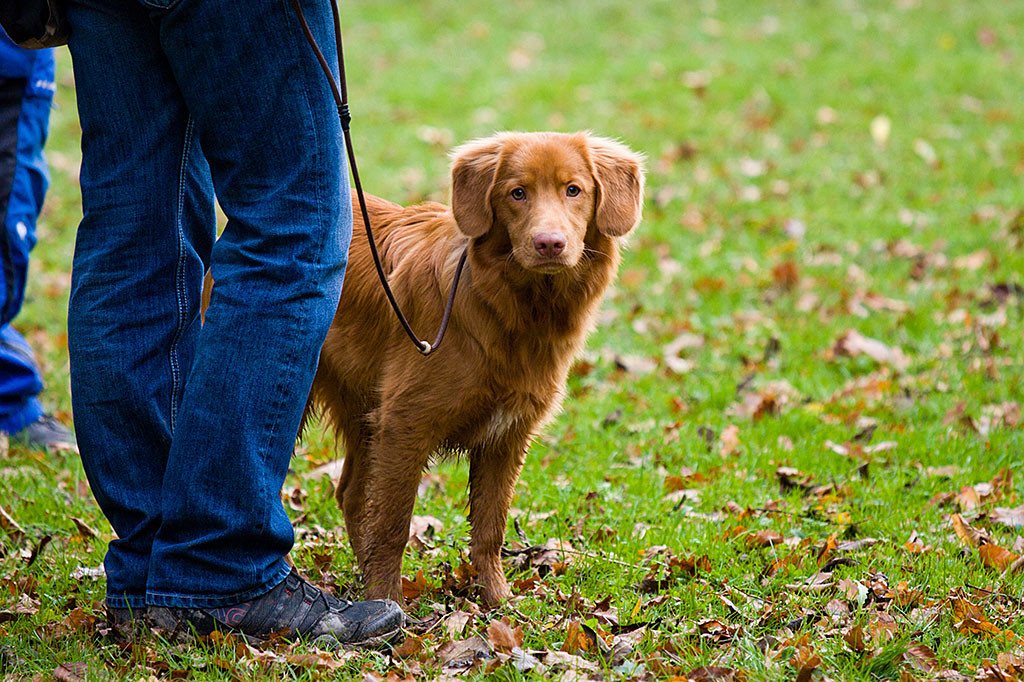 Edison lässt sich von Julia ablenken und schaut zu ihr