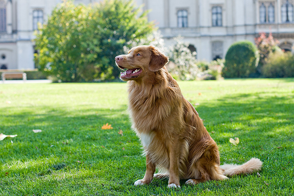 Edison sitzt vor dem Schloss Grafenegg und lächelt zufrieden