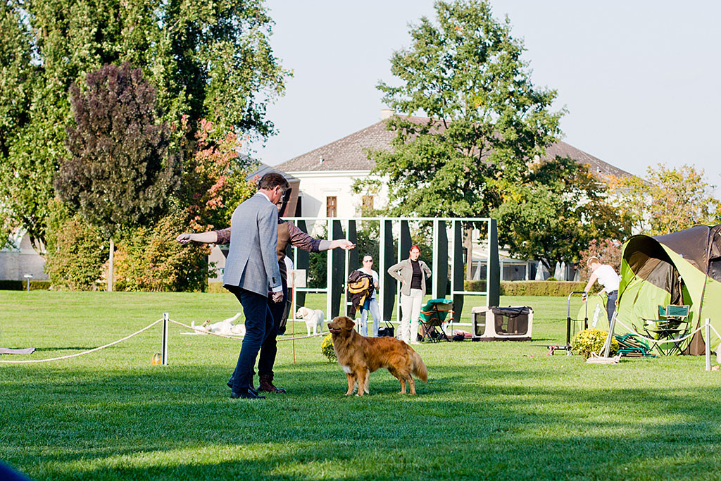 Edison wird von Stephan dem Richter vorgeführt
