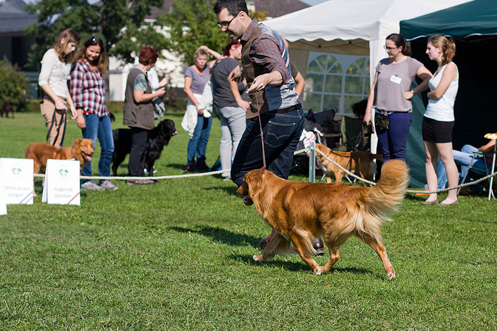 Edison läuft bei der Wahl zum Rassebesten mit Stephan durch den Ring