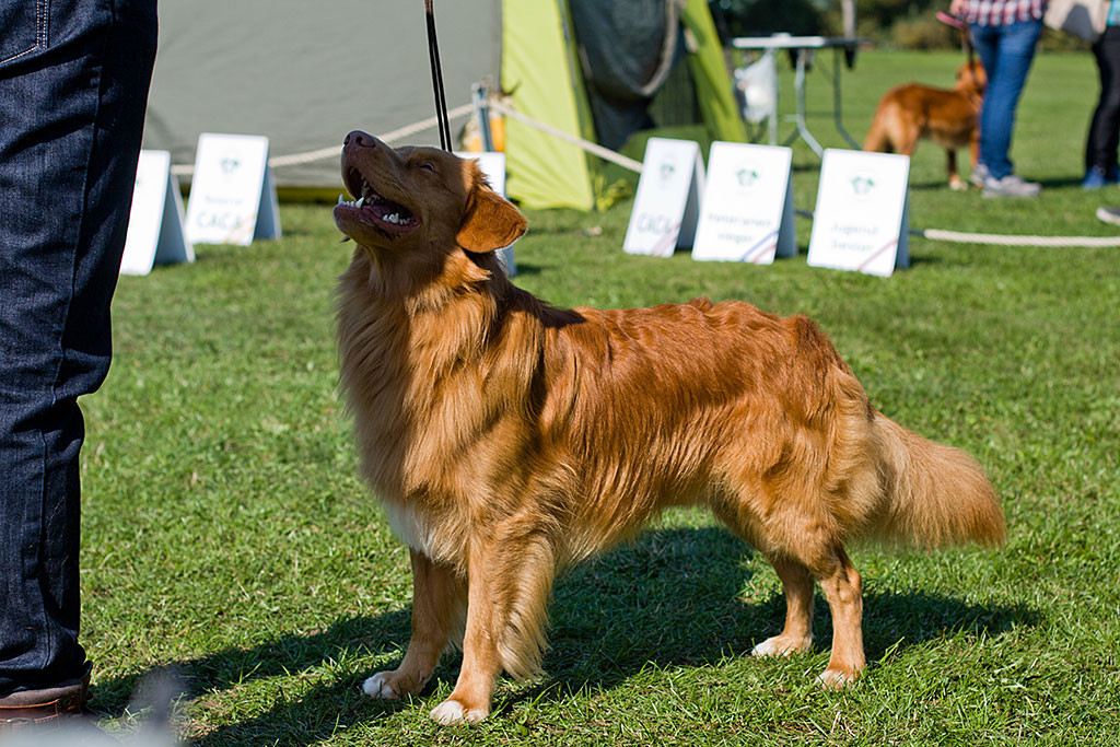 Edison steht frontal vor Stephan und schaut zu ihm hoch