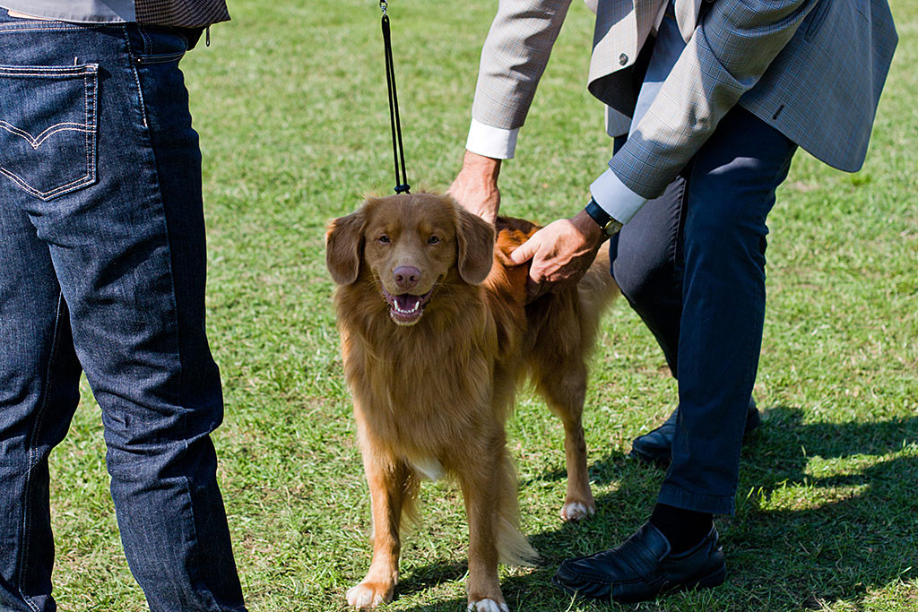 Edison wird von Richter Henric Fryckstrand abgetastet