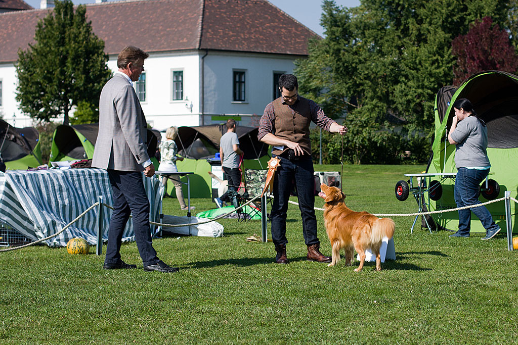 Edison steht mit Stephan vor dem Richter, der gerade zum Sieger der Championklasse gekürt wurde