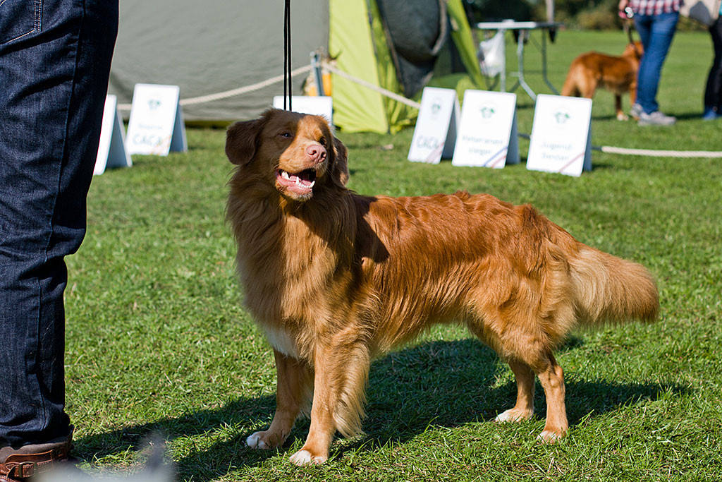 Edison lächelt stehend noch einmal den Richter an und schaut dabei zur Seite