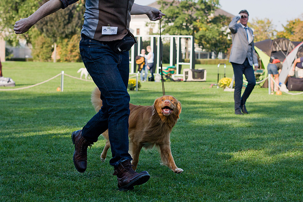 Edison läuft mit Stephan nochmal auf einer Kreisbahn durch den Ehrenring