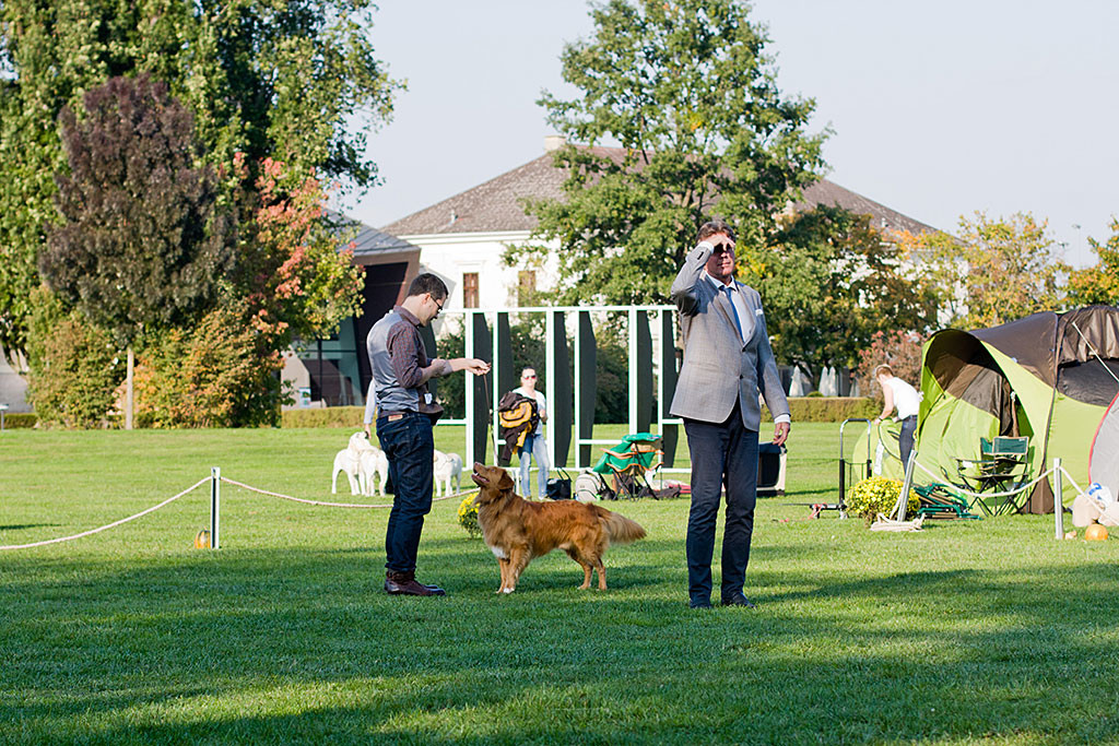 Edison macht sich mit Stephan bereit für den Richter