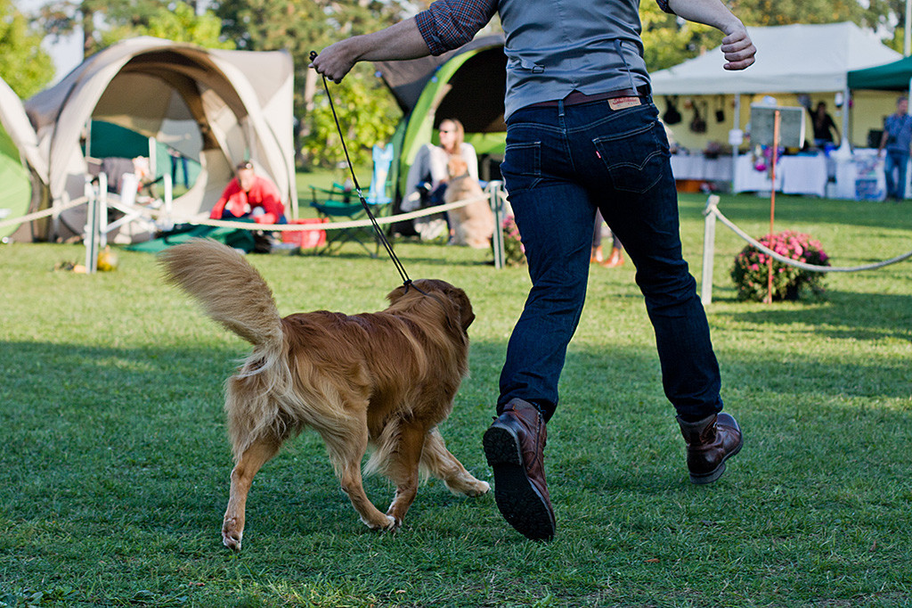 Edison läuft in Rückansicht mit Stephan durch den Ehrenring