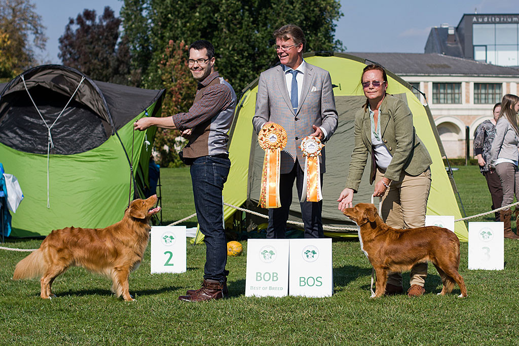Edison posiert als Rassebester mit Stephan, dem Richter und der BOS-Hündin »Absolut First Izolda Garonera« und ihrer Führerin