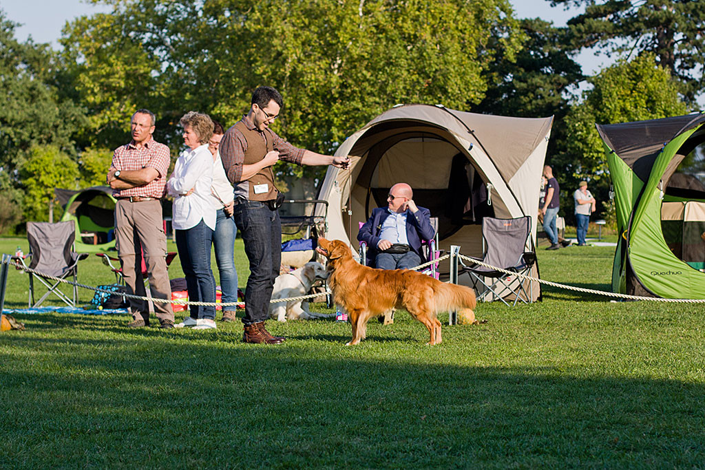 Edison wird von Stephan im Ehrenring gezeigt