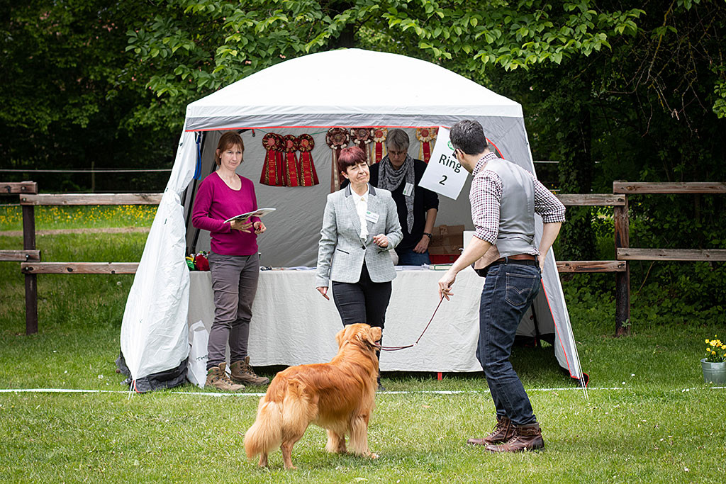 Edison steht mit Stephan schräg vor dem Richtertisch während die Richterin auf sie zukommt um zu gratulieren