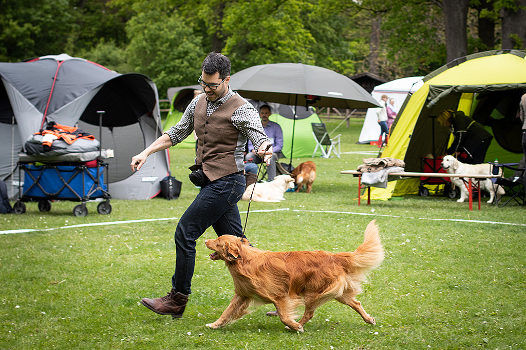Edison läuft mit fliegendem Schritt an Stephans Seite