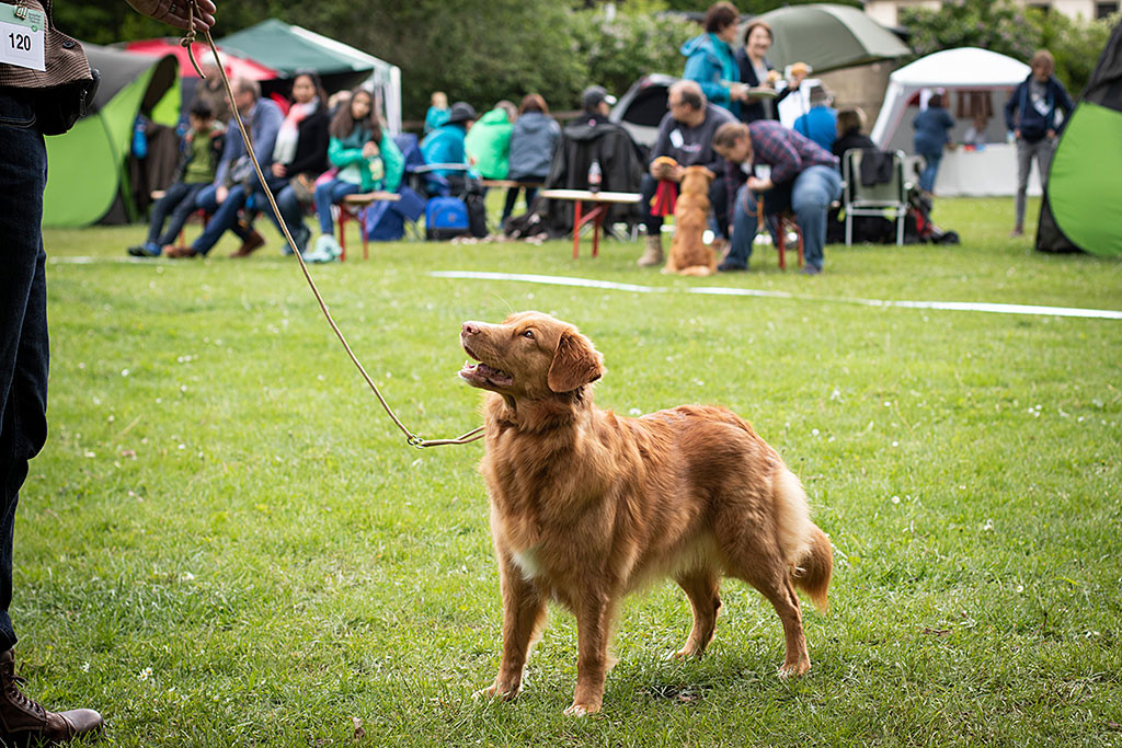 Ivalu in Nahaufnahme während sie mit Stephan vor dem Richtertisch steht