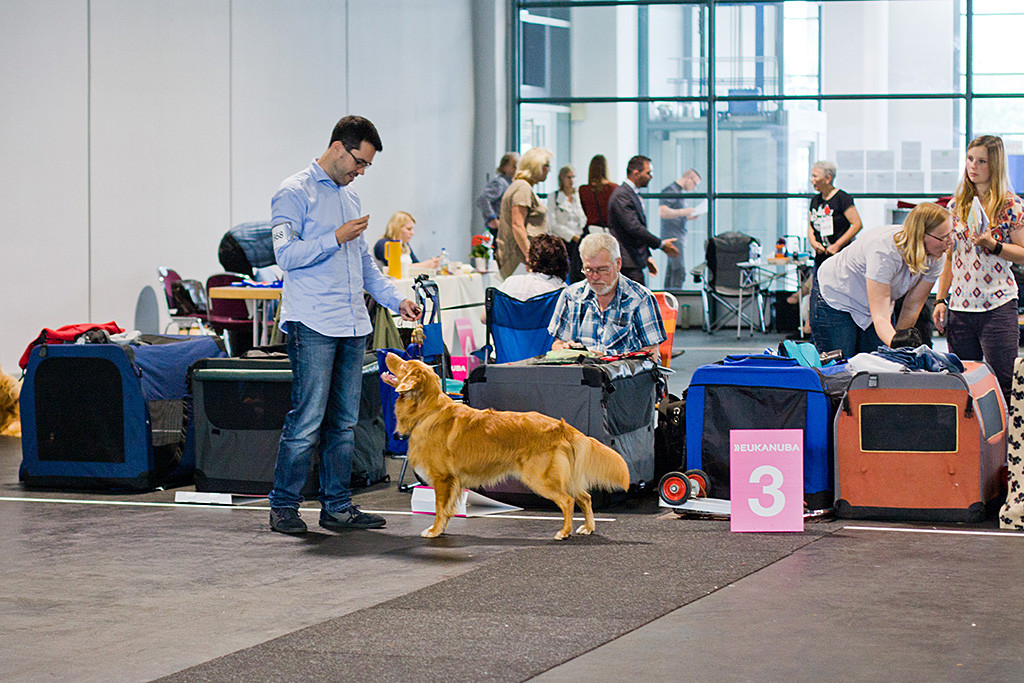 Edison steht vor Stephan in Pose