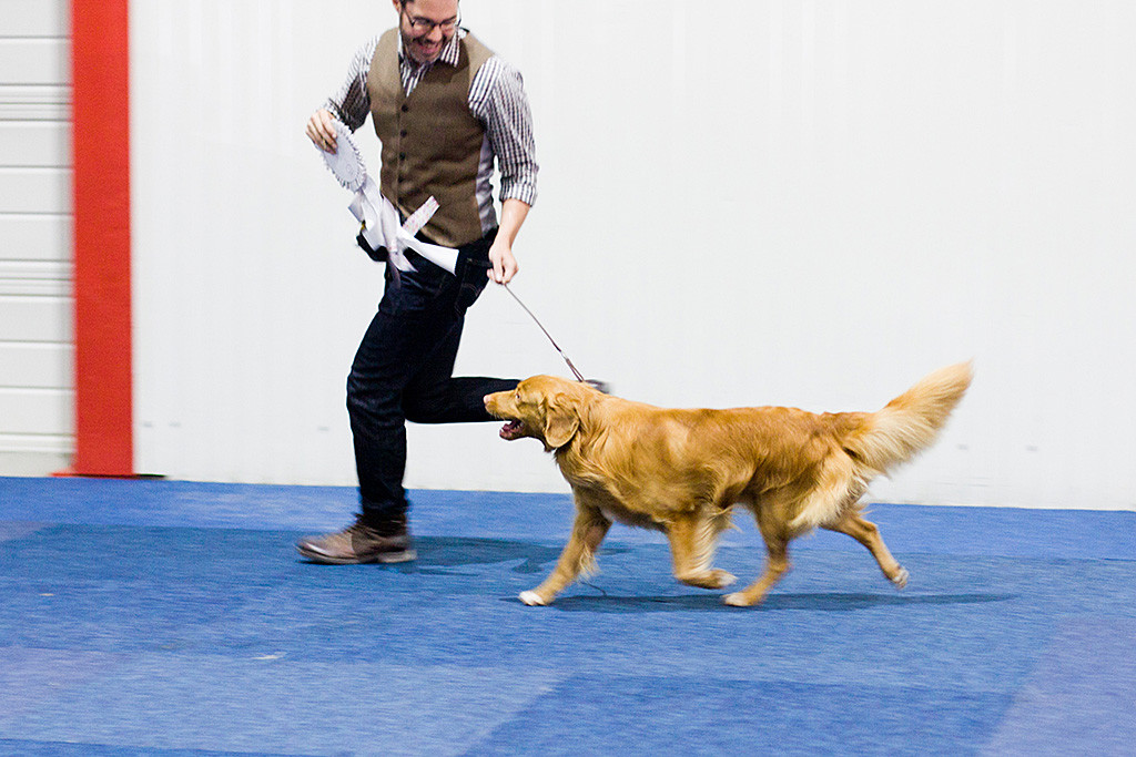 Edison fliegt an der Seite von Stephan, der die Siegerschleife trägt, durch den Ring