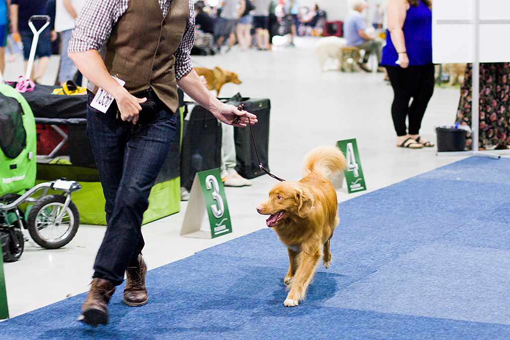 Edison läuft an der Seite von Stephan in den Ring ein