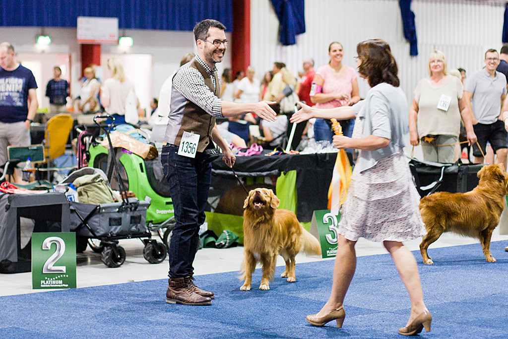 Edison grinst zu Stephan hoch, der die CACIB-Schleife von Richterin Birgit Pfeifer entgegennimmt