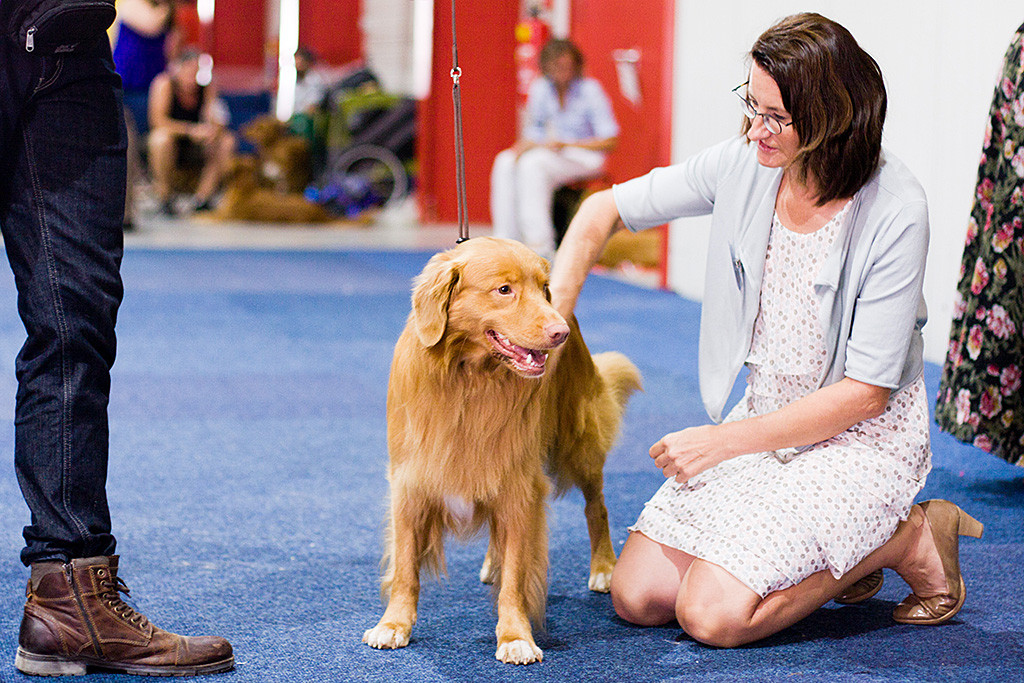 Edison grinst während er von der knienden Richterin abgetastet wird