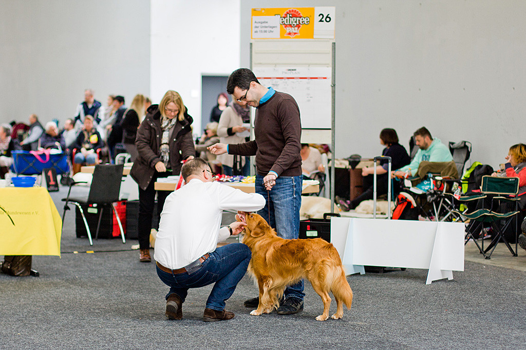 Edisons Zähne werden vom Richter kontrolliert, Stephan steht hinter ihnen