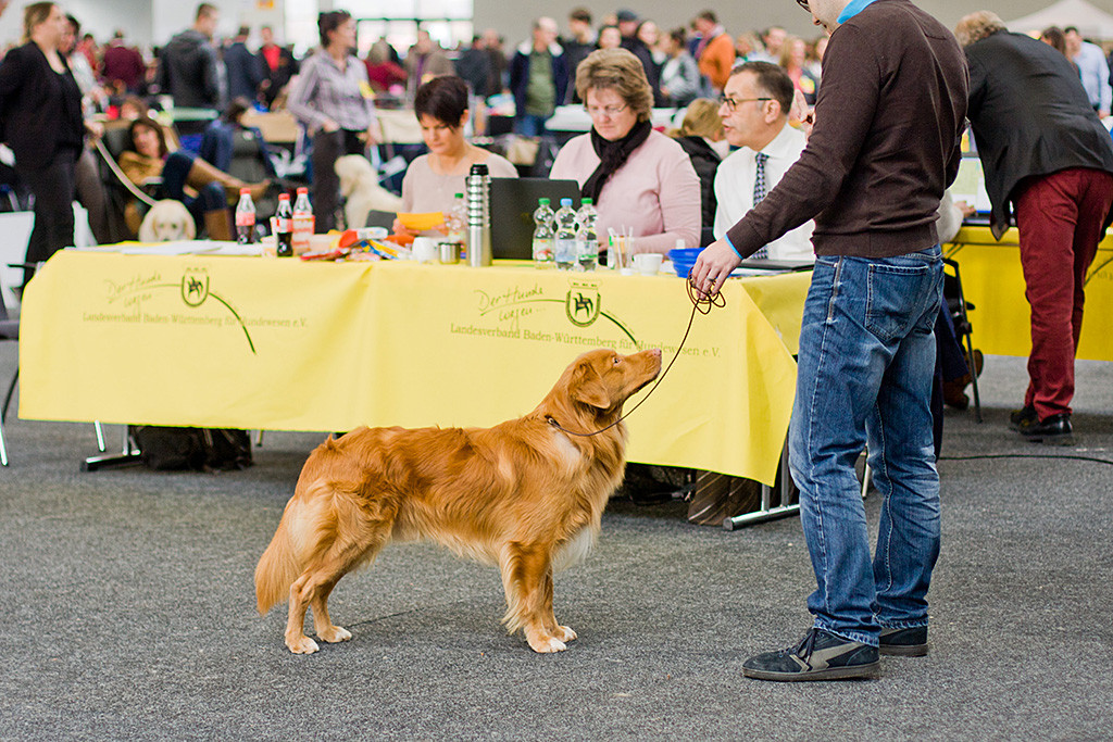 Edison steht vor dem Richtertisch während der Richter im Hintergrund den Bericht diktiert