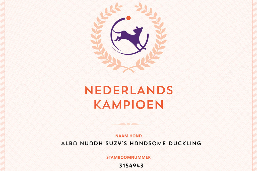 Newtons Urkunde zum niederländischen Champion