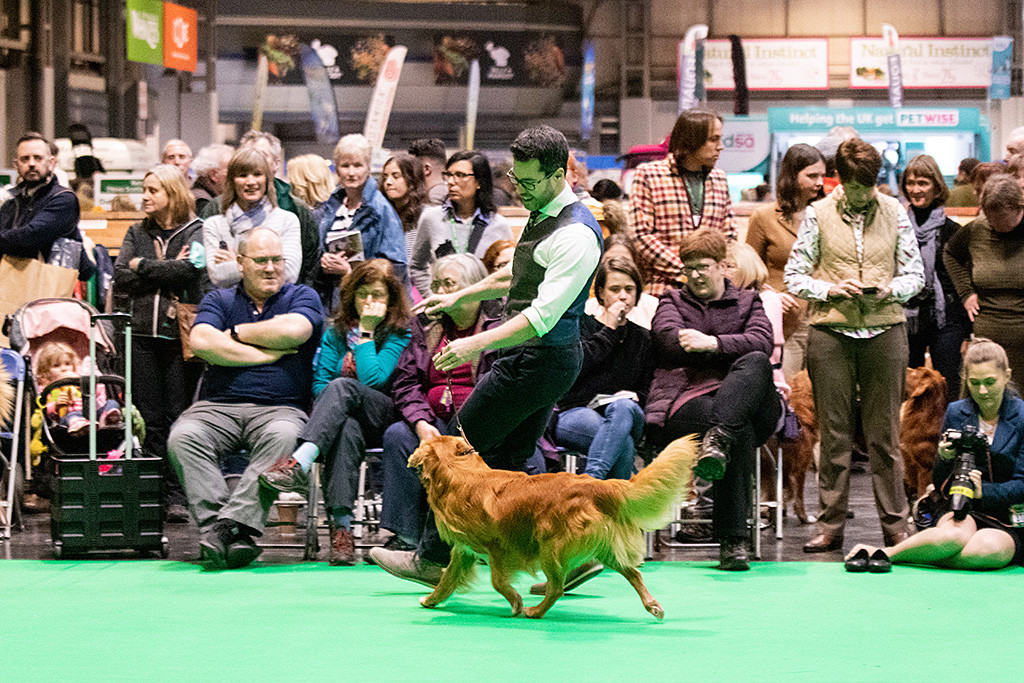 Edison bremst an Stephans Seite nach der Runde im Ring