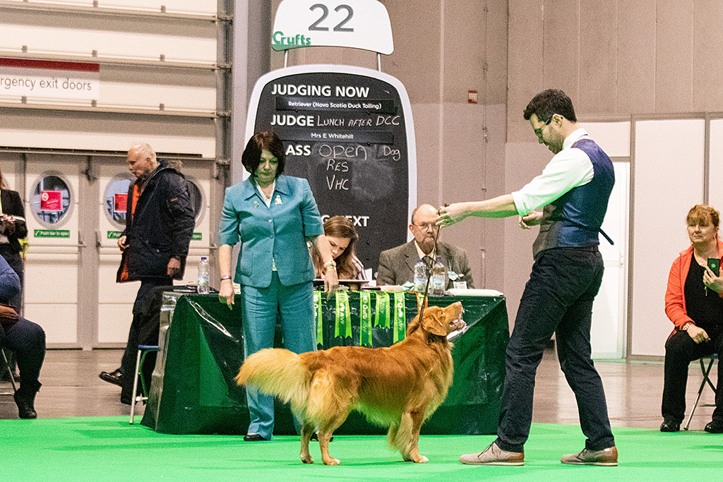 Edison steht in perfekter Pose vor der Richterin, die sich ihn nochmal genau anschaut